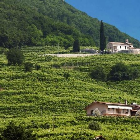 Casa Bortolin Bed & Breakfast Valdobbiadene Exterior photo